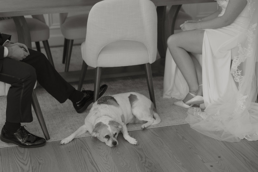 A relaxed dog lies on a wooden floor between a seated couple dressed in formal wedding attire. The scene conveys a calm, intimate moment.