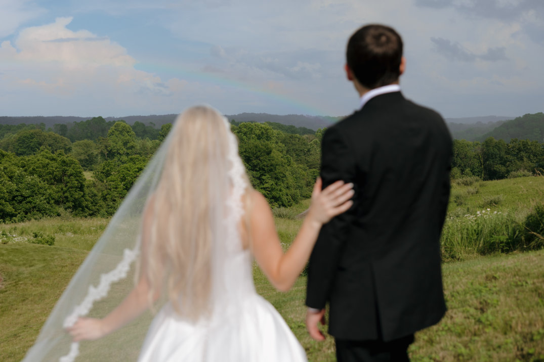 The bride and groom walking hand in hand, viewed from behind, overlooking rolling hills.